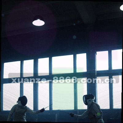 盾形轮廓内嵌入对勾和深浅蓝色条纹，不包含真实认证标志